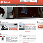 idraulico bobcat 320